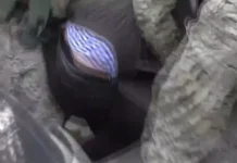 В Запорожском суде вынесли приговор бердянскому шпиону за передачу данных ВСУ v zaporozhskom sude vynesli prigovor berdyanskomu shpionu za peredachu dannyh vsu-uralnovosti-ru-0