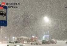 Западно-Сибирское УГМС делает оптимистичный прогноз по снежной активности в Сибири zapadnosibirskoe ugms delaet optimistichnyj prognoz po snezhnoj aktivnosti v sibiri-uralnovosti-ru-0