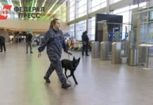 Артем Кореняко объявил о введении плана «Ковер» в аэропортах Поволжья artem korenyako obyavil o vvedenii plana kover v aeroportah povolzhya-uralnovosti-ru-0