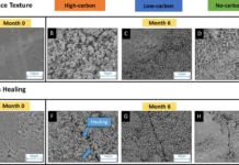 Британские ученые с помощью бактерий устраняют трещины в цементе карбонатами britanskie uchenye s pomoshhyu bakterij ustranyayut treshhiny v czemente karbonatami-uralnovosti-ru-0
