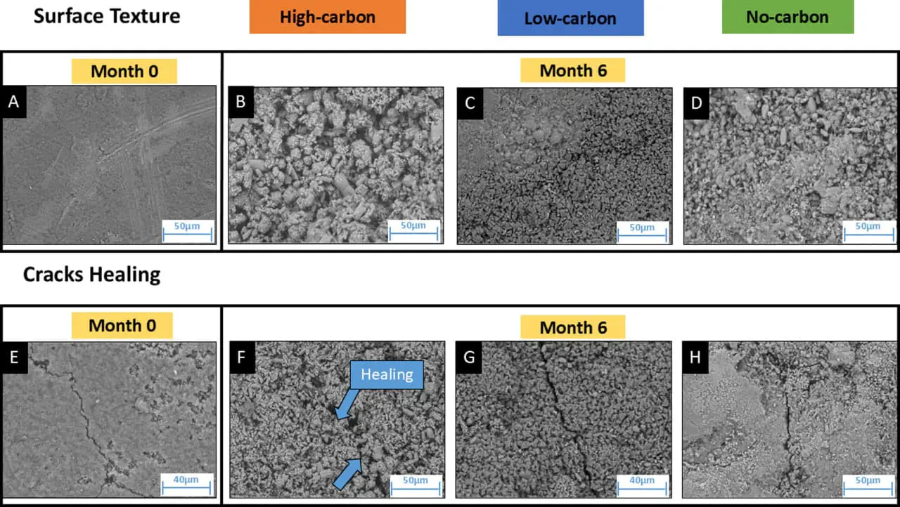 Британские ученые с помощью бактерий устраняют трещины в цементе карбонатами-0