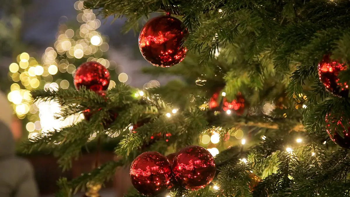 Народные приметы на 31 декабря 2025 года