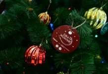 Денис Паслер, Владимир Путин и добрые традиции «Ёлки желаний» в Новый год denis pasler vladimir putin i dobrye tradiczii yolki zhelanij v novyj god-uralnovosti-ru-0