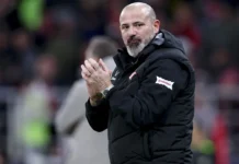 Деян Станкович может вновь возглавить Црвену звезду после работы в Спартаке deyan stankovich mozhet vnov vozglavit czrvenu zvezdu posle raboty v spartake-uralnovosti-ru-0