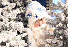 Екатерина Кес дала советы, как реагировать на письма Деду Морозу с необычными просьбами ekaterina kes dala sovety kak reagirovat na pisma dedu morozu s neobychnymi prosbami-uralnovosti-ru-0