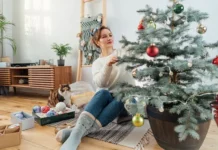 Эксперты Дмитровского лесного питомника советуют елку в горшке для Нового года eksperty dmitrovskogo lesnogo pitomnika sovetuyut elku v gorshke dlya novogo goda-uralnovosti-ru-0