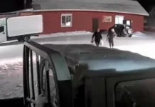 Хроника дорожных происшествий в Карталинском районе и Москве hronika dorozhnyh proisshestvij v kartalinskom rajone i moskve-uralnovosti-ru-0