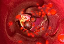 Институт биоорганической химии РАН и НИИ онкологии Томска развивают управление молекулами для диагностики и терапии рака institut bioorganicheskoj himii ran i nii onkologii tomska razvivayut upravlenie molekulami dlya diagnostiki i terapii raka-uralnovosti-ru-0