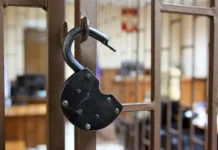 Ирина Волк рассказала о выходе на суд громкой ОПГ в Челябинске irina volk rasskazala o vyhode na sud gromkoj opg v chelyabinske-uralnovosti-ru-0