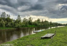 Исследование памяти сибиряков в Томском государственном университете и роль лингвистов issledovanie pamyati sibiryakov v tomskom gosudarstvennom universitete i rol lingvistov-uralnovosti-ru-0