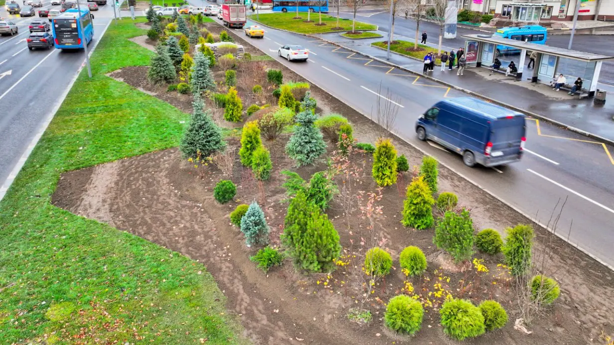 Около 10 тысяч крупномерных деревьев высадят в Москве