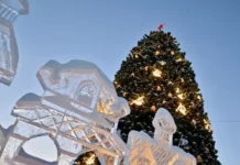 Новогодние ёлки Свердловской области поборются за победу во всероссийском конкурсе ФКГС novogodnie yolki sverdlovskoj oblasti poboryutsya za pobedu vo vserossijskom konkurse fkgs-uralnovosti-ru-0