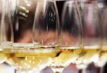 Роскачество представило список лучших российских вин с лидерами Абрау-Дюрсо, Мысхако и Новый Свет roskachestvo predstavilo spisok luchshih rossijskih vin s liderami abraudyurso myshako i novyj svet-uralnovosti-ru-0