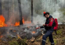 Свердловский областной медицинский колледж готовит спасателей XXI века под руководством Евгении Миронович и Дениса Шувалова sverdlovskij oblastnoj mediczinskij kolledzh gotovit spasatelej veka pod rukovodstvom evgenii mironovich i denisa shuvalova-uralnovosti-ru-0