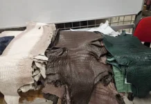 В Шереметьево таможенники изъяли 55 шкур крокодилов у пассажира v sheremetevo tamozhenniki izyali 55 shkur krokodilov u passazhira-uralnovosti-ru-0