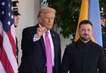 Владимир Зеленский и Дональд Трамп ведут тайные переговоры в Мар-а-Лаго vladimir zelenskij i donald tramp vedut tajnye peregovory v maralago-uralnovosti-ru-0