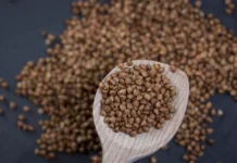 Гречка из России захватила США и потеснила Канаду и Украину на рынке grechka iz rossii zahvatila ssha i potesnila kanadu i ukrainu na rynke-uralnovosti-ru-0