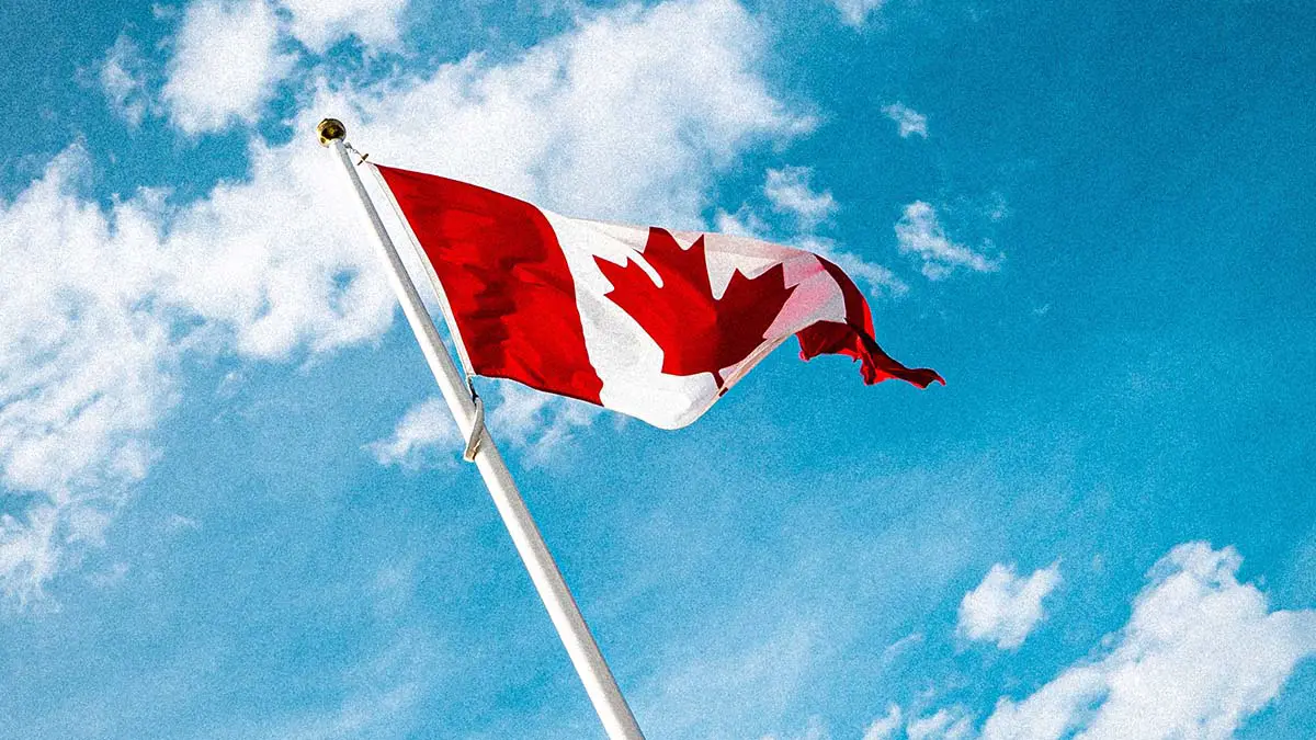 СМИ: Канада готовится к партизанской войне с США