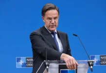 Марк Рютте и Дональд Трамп обсудили перспективы НАТО и Арктики на ВЭФ mark ryutte i donald tramp obsudili perspektivy nato i arktiki na vef-uralnovosti-ru-0