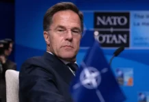 Марк Рютте рассказал о перспективах Гренландии в системе НАТО и сотрудничестве с США mark ryutte rasskazal o perspektivah grenlandii v sisteme nato i sotrudnichestve s ssha-uralnovosti-ru-0