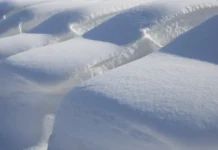 Национальный автомобильный союз рассказал о защите авто зимой naczionalnyj avtomobilnyj soyuz rasskazal o zashhite avto zimoj-uralnovosti-ru-0