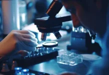 Наноантибиотик СФУ и Словении представляет новое слово в заживлении ран nanoantibiotik sfu i slovenii predstavlyaet novoe slovo v zazhivlenii ran-uralnovosti-ru-0