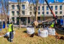 Петр Бирюков о современном озеленении поликлиник Москвы к 2025 году petr biryukov o sovremennom ozelenenii poliklinik moskvy k 2025 godu-uralnovosti-ru-0