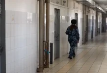 Сотрудница ФНС в Смоленске получила срок за помощь коммерсанту sotrudnicza fns v smolenske poluchila srok za pomoshh kommersantu-uralnovosti-ru-0