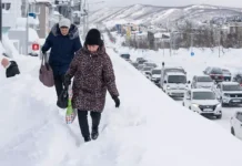 Владимир Солодов просит поддержки Петропавловску-Камчатскому vladimir solodov prosit podderzhki petropavlovskukamchatskomu-uralnovosti-ru-0