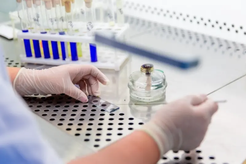 Фото: primamedia.ru