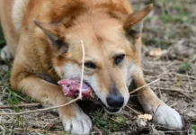 Бурматов призвал Кубасова активно использовать полномочия Госдумы burmatov prizval kubasova aktivno ispolzovat polnomochiya gosdumy-uralnovosti-ru-0