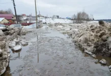 Эксперты прогнозируют масштабное половодье в РФ в 2026 году eksperty prognoziruyut masshtabnoe polovode v rf v 2026 godu-uralnovosti-ru-0