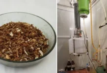 Красноярский центр предложил питание космонавтов на Марсе krasnoyarskij czentr predlozhil pitanie kosmonavtov na marse-uralnovosti-ru-0