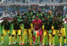 Матч Сборной России и Мали подтвержден Федерацией футбола match sbornoj rossii i mali podtverzhden federacziej futbola-uralnovosti-ru-0