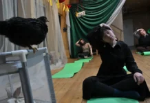 Пет-терапия на ВДНХ: йога с животными и «Активный гражданин» petterapiya na vdnh joga s zhivotnymi i aktivnyj grazhdanin-uralnovosti-ru-0