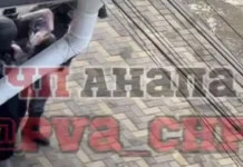 podrostok ustroil strelbu v kolledzhe anapy iz toz34er-uralnovosti-ru-0