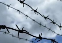 Пресненский суд завершил дело Александра Галицкого после ухода Алии presnenskij sud zavershil delo aleksandra galiczkogo posle uhoda alii-uralnovosti-ru-0