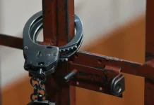 Шестеро задержаны СКР и МВД в Воронежской области по делу о похищении shestero zaderzhany skr i mvd v voronezhskoj oblasti po delu o pohishhenii-uralnovosti-ru-0