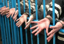 СК раскрыл детали дела Петра Жилкина и вероятное наказание sk raskryl detali dela petra zhilkina i veroyatnoe nakazanie-uralnovosti-ru-0