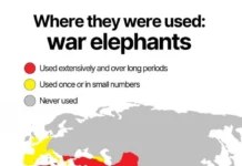 Триумф боевых слонов Ганнибала и Александра Македонского triumf boevyh slonov gannibala i aleksandra makedonskogo-uralnovosti-ru-0