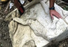 Археологи обнаружили древнеримские рельефы гладиаторов arheologi obnaruzhili drevnerimskie relefy gladiatorov-uralnovosti-ru-0