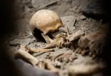 Дети в Дижоне обнаружили сидячий скелет кельта deti v dizhone obnaruzhili sidyachij skelet kelta-uralnovosti-ru-0