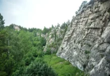 Эколидер и Фонд Вернадского подарят поездку в Артек юным экологам ekolider i fond vernadskogo podaryat poezdku v artek yunym ekologam-uralnovosti-ru-0