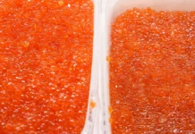 Эльчин Абдуррахманов рассказал об икре и дал ценные советы elchin abdurrahmanov rasskazal ob ikre i dal czennye sovety-uralnovosti-ru-0