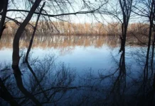 Гидрометцентр: Подмосковье и Петропавловск-Камчатский борются с паводками gidrometczentr podmoskove i petropavlovskkamchatskij boryutsya s pavodkami-uralnovosti-ru-0