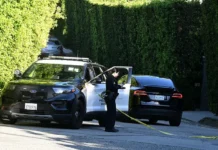 Полиция задержала женщину, стрелявшую у дома Рианны на Tesla policziya zaderzhala zhenshhinu strelyavshuyu u doma rianny na -uralnovosti-ru-0