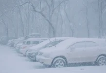 Уссурийск накрыл снегопад: циклон принес пробки в Приморье ussurijsk nakryl snegopad cziklon prines probki v primore-uralnovosti-ru-0