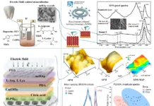 ВГУ: Электрическое поле восстанавливает зубную эмаль гидроксиапатитом vgu elektricheskoe pole vosstanavlivaet zubnuyu emal gidroksiapatitom-uralnovosti-ru-0