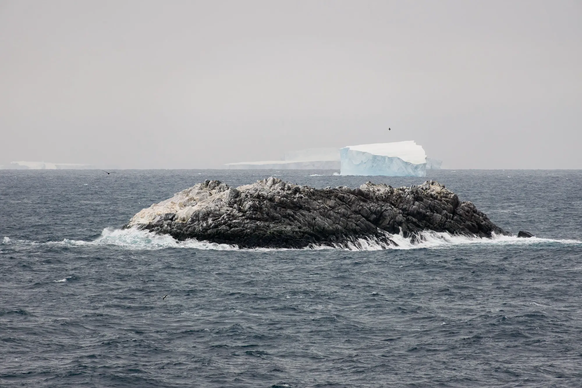 Ледокол Поларштерн открыл чудесный остров в море Уэдделла-0