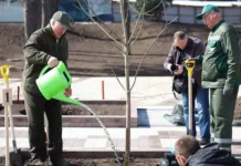 Лукашенко и Николай Лукашенко озеленили территорию у музея lukashenko i nikolaj lukashenko ozelenili territoriyu u muzeya-uralnovosti-ru-0